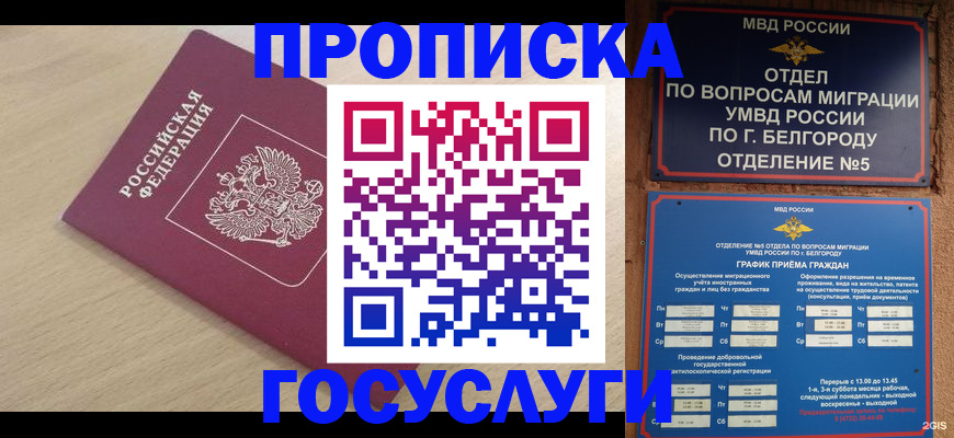 прописка законно в Валуйках